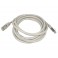 Cable Réseau RJ45 FTP CAT6 2M